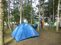 P1050530.webp