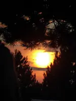 P1050550.webp