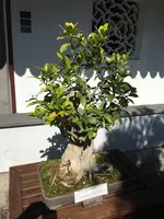 B67DA142-6E4D-483B-918A-1461EF1419E4.jpeg