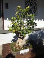 B67DA142-6E4D-483B-918A-1461EF1419E4.jpeg