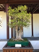 967CA7C8-FA24-4C19-A2E0-6C7147CB2801.jpeg