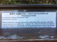 6073B7C0-06FF-44F9-BEB1-B89EB72C3F04.jpeg