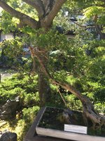 088869D4-ABCD-434D-86F0-11BA53E3D414.jpeg