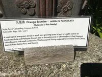 ED8AD6B5-21B4-444E-9A5D-1B86ADA368B3.jpeg