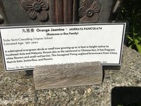 ED8AD6B5-21B4-444E-9A5D-1B86ADA368B3.jpeg