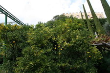 186.JPG
