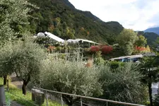 190.webp