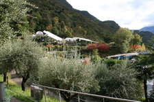 190.JPG