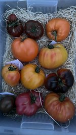 IMG_1419.jpeg