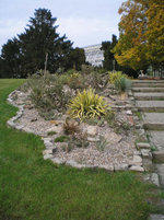 Botanischer Garten Berlin 2.JPG