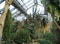 Botanischer Garten Berlin 3.JPG