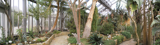 Botanischer Garten Berlin 5.jpg