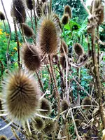 IMG_20210917_121748_1.jpg