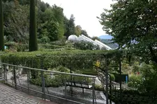 195.webp