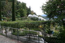 195.JPG