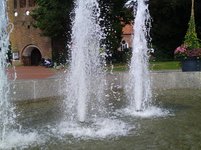 IMG_20230828_150535.jpg