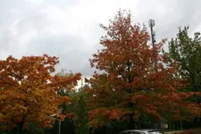 213.webp