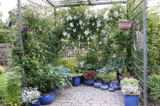 Rosenlaube   0424.JPG