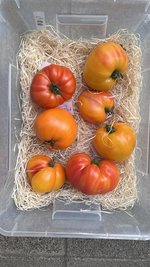 IMG_1445.jpeg