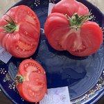 IMG_1452.jpeg
