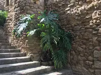 D1C3A0DC-3581-476C-9D25-84147A37608D.webp D1C3A0DC-3581-476C-9D25-84147A37608D.webp