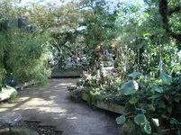 1722541260797.webp