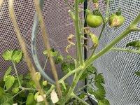 IMG_0061.JPG