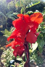 IMG_E1912.JPG