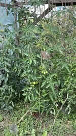 IMG_1469.jpeg