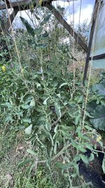 IMG_1473.jpeg