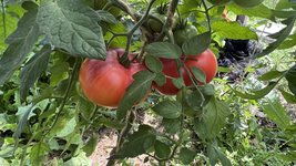 IMG_1477.jpeg