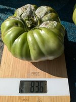 PXL_20240802_150209143.jpg