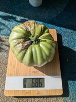 PXL_20240802_150159711.jpg