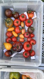 IMG_1494.jpeg