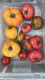 IMG_1492.jpeg