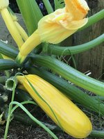 IMG_4692.jpeg