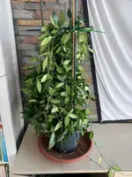 20240803_174352.webp