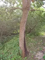20240803_200415.webp