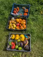 PXL_20240804_091522590.webp