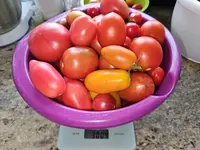 20240804_192307.webp
