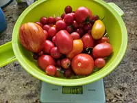 20240804_192125.webp