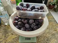 20240804_184259.webp