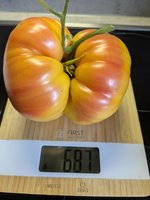 PXL_20240804_094055885.jpg