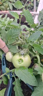 20240804_114709.webp