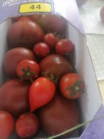 IMG_20240805_095238.jpg