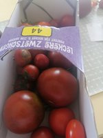 IMG_20240805_095230.jpg
