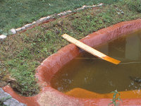 Teich9Planke.jpg