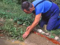 Teich10Rand.jpg