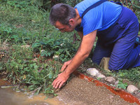 Teich10Rand.jpg
