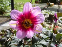 035.webp